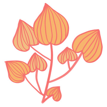 简约风橙色花卉插画