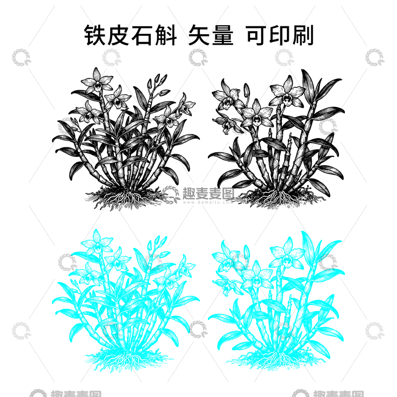源文件下载【趣麦麦图】包装设计矢量素材墨线绘石斛植物矢量图