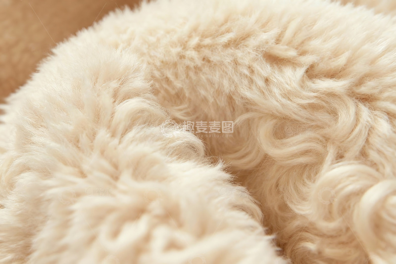 高清大图下载【趣麦麦图】卷毛米布抽象风格设计3