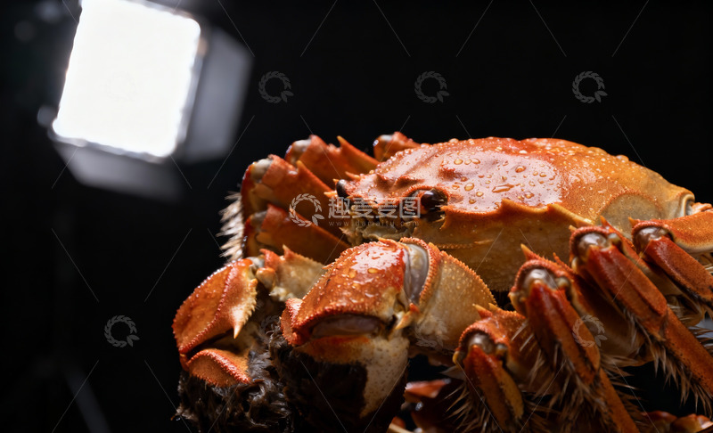 高清大图下载【趣麦麦图】熟螃蟹特写照片3
