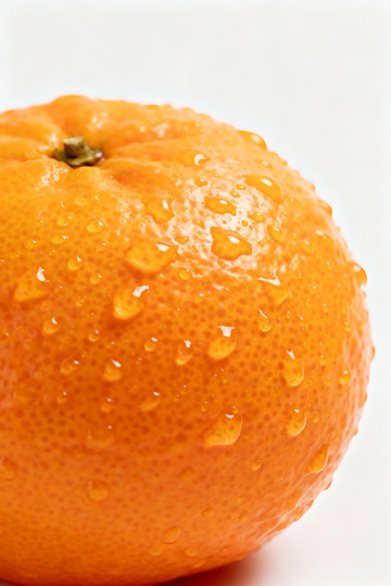 橘子的特写照片2