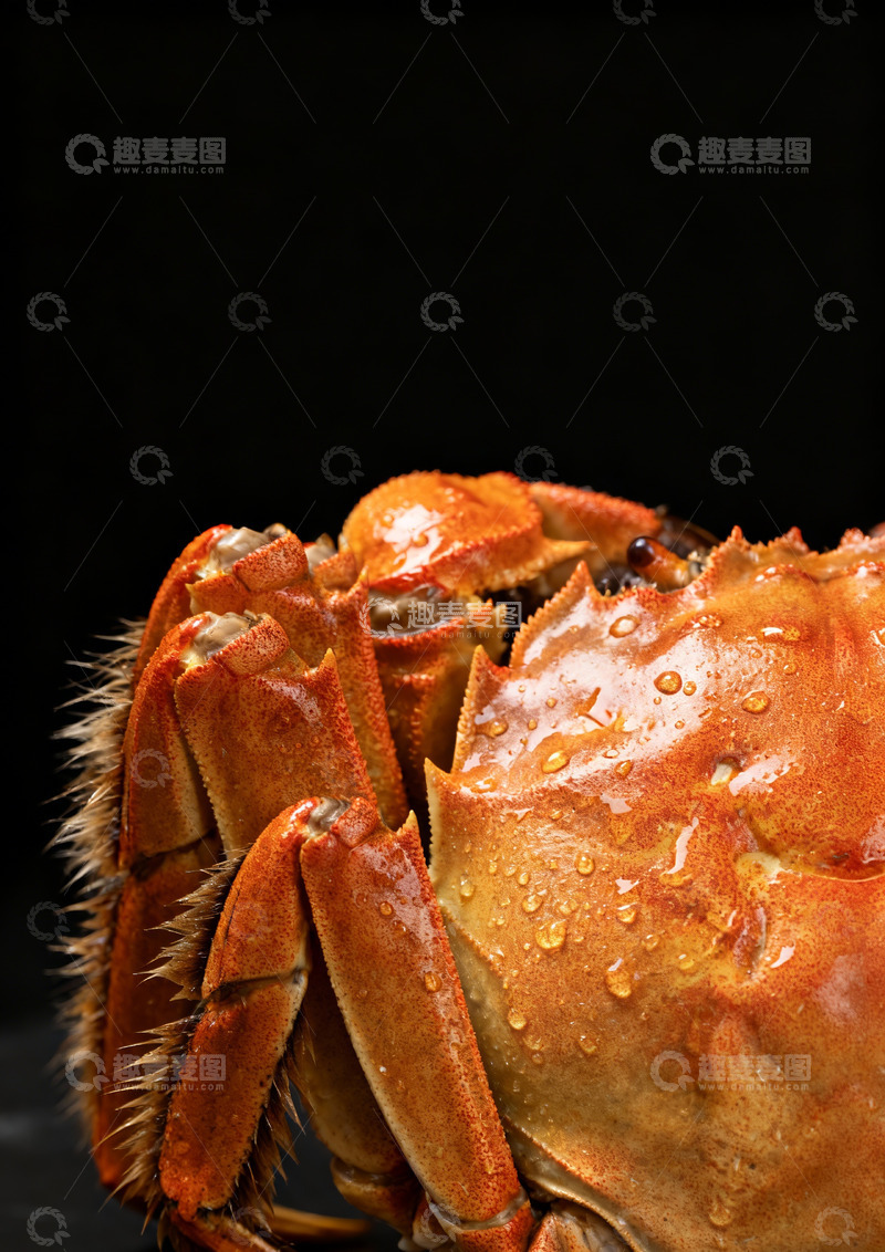 高清大图下载【趣麦麦图】熟螃蟹特写照片8
