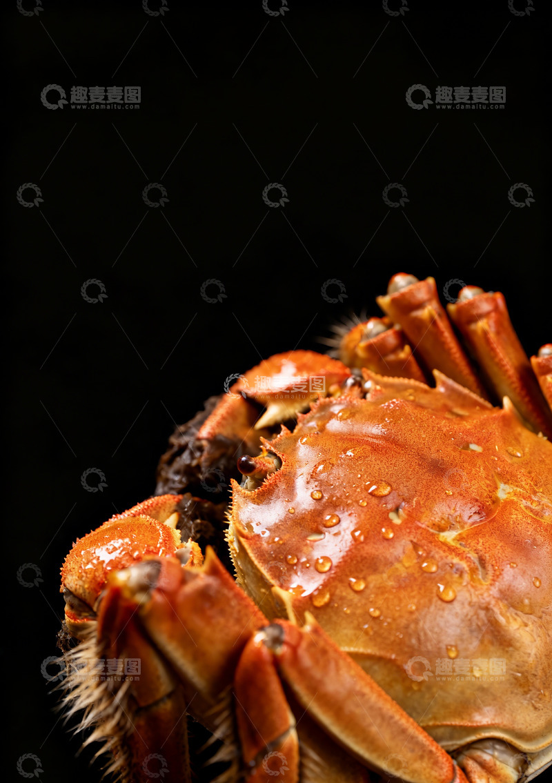 高清大图下载【趣麦麦图】熟螃蟹特写照片1