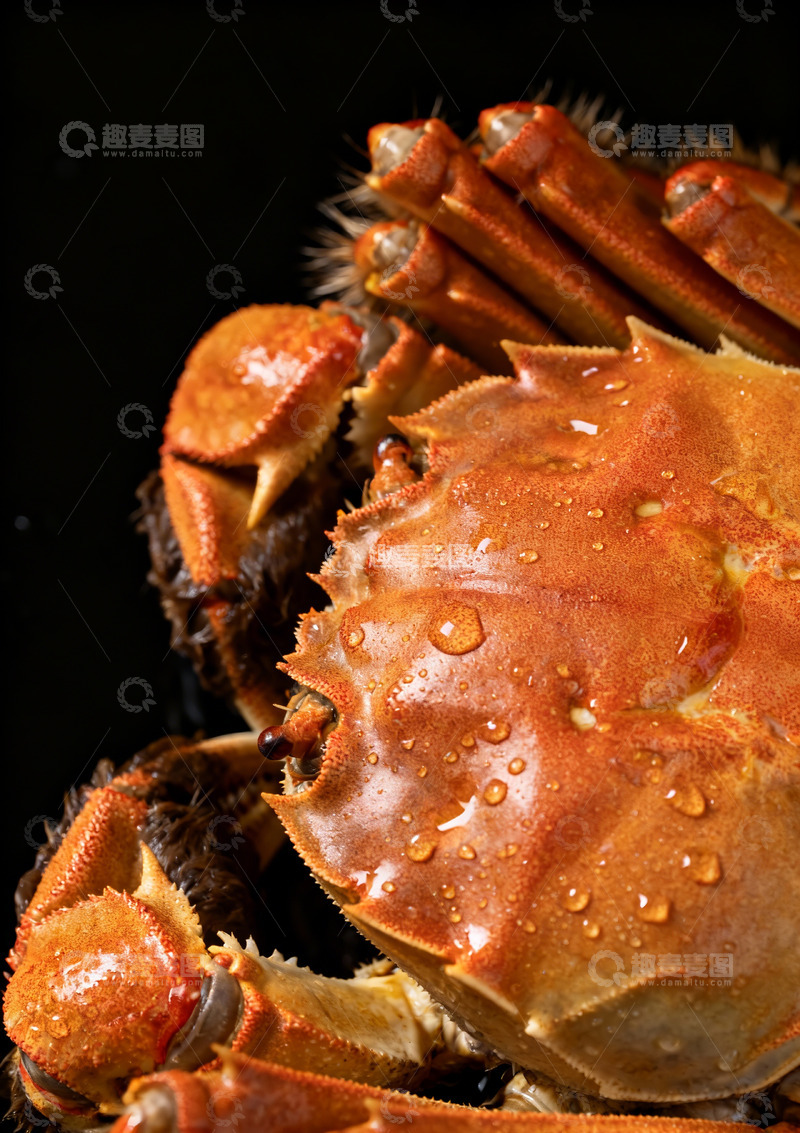 高清大图下载【趣麦麦图】熟螃蟹特写照片7