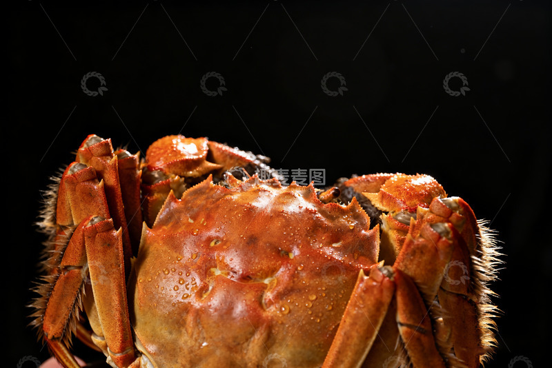 高清大图下载【趣麦麦图】熟螃蟹特写照片6