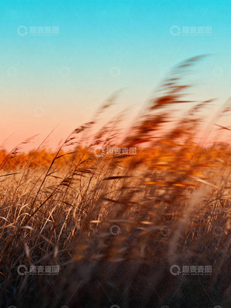 高清大图下载【趣麦麦图】秋日氛围感高级艺术海报4