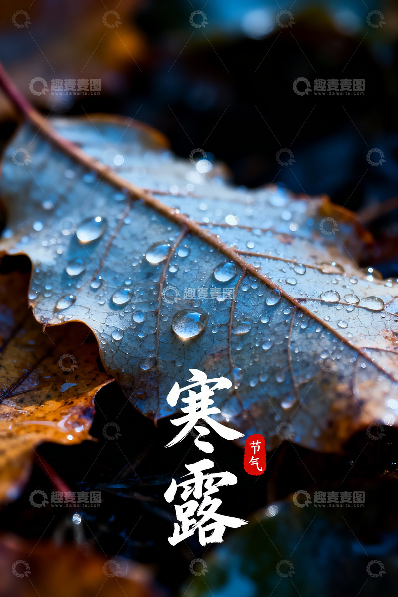 高清大图下载【趣麦麦图】寒露节气摄影海报1