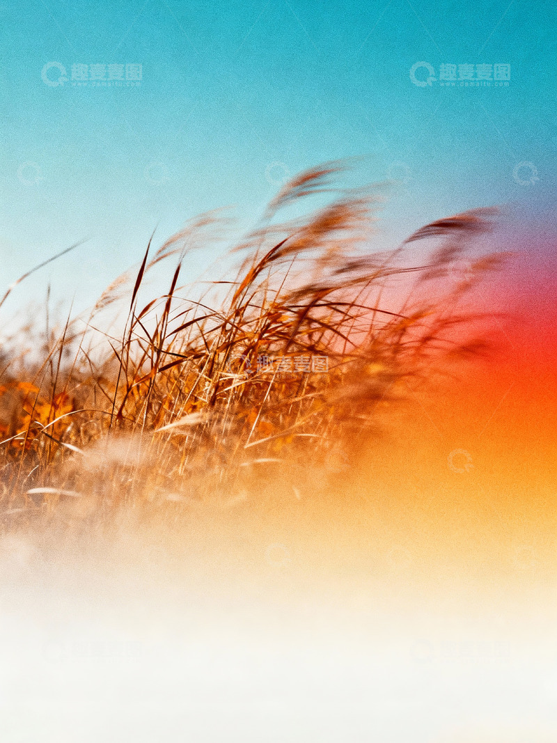 高清大图下载【趣麦麦图】秋日氛围感高级艺术海报5