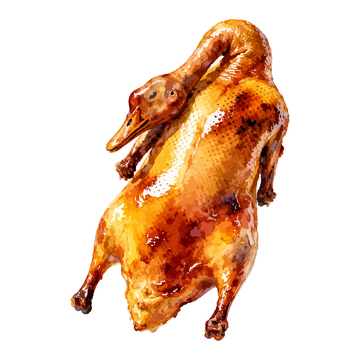 美食绘画烤鸭插画设计素材