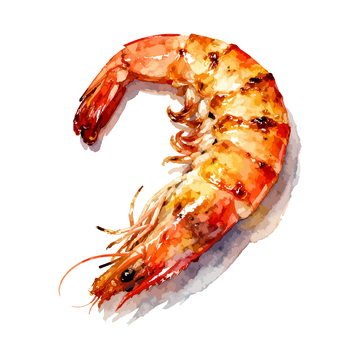 水彩烤虾美食插画设计元素