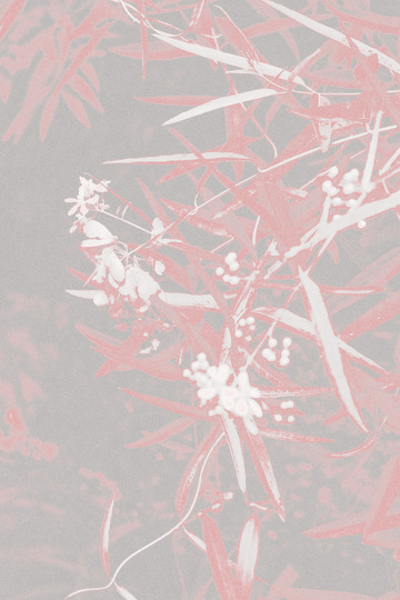 淡雅花卉底纹背景设计素材