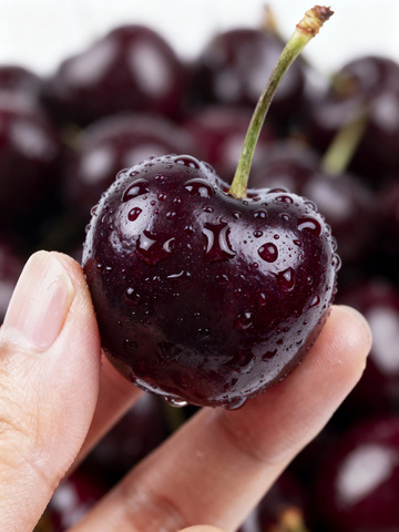 手捏樱桃果肉纹理清晰
