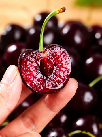 手捧紫樱桃车厘子0