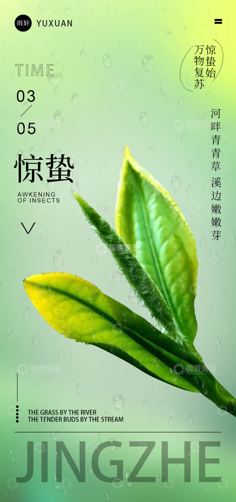 源文件下载【趣麦麦图】-惊蛰绿茶海报设计