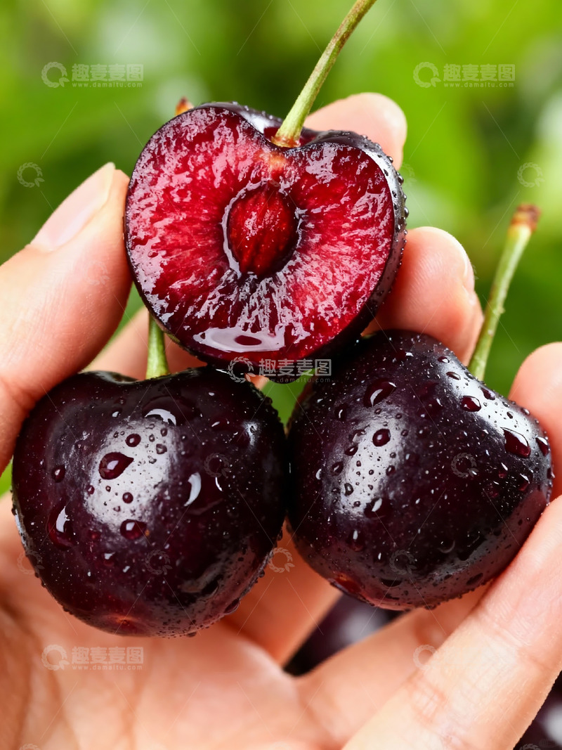 高清大图下载【趣麦麦图】手捧紫樱桃车厘子1
