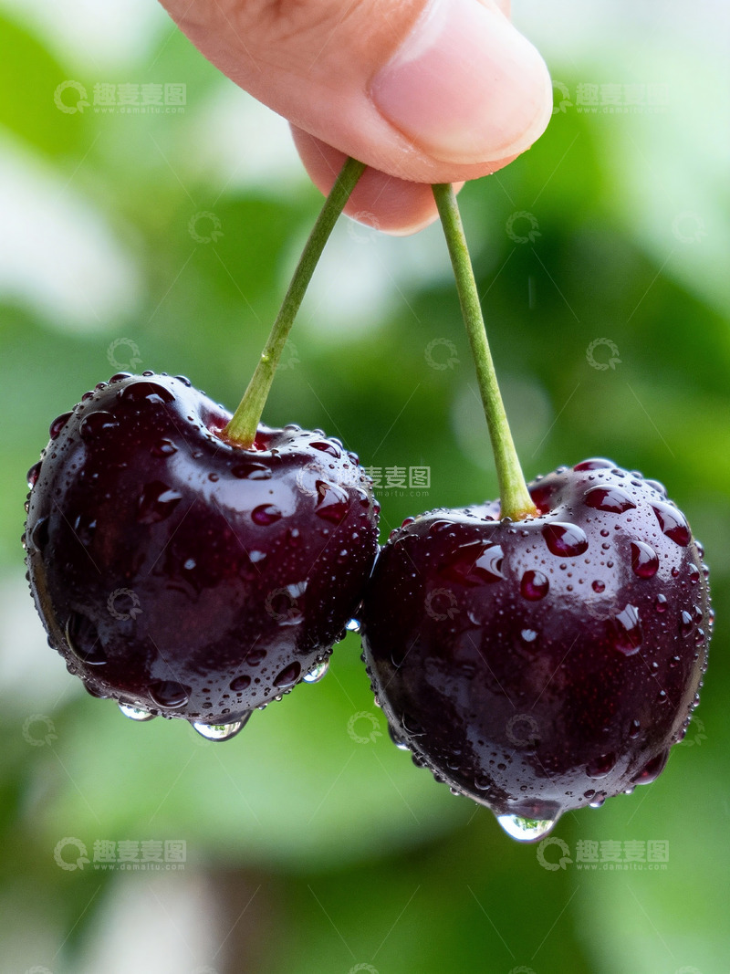 高清大图下载【趣麦麦图】樱桃特写果肉红润果核清晰8