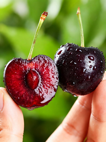 樱桃特写果肉红润果核清晰4