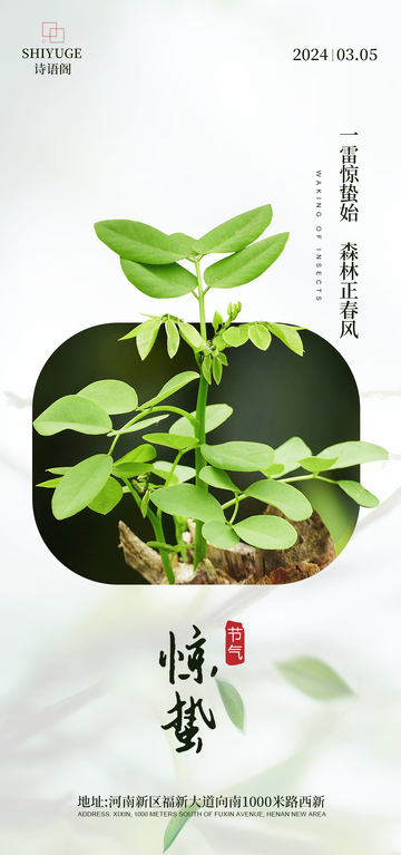 惊蛰绿植生机盎然