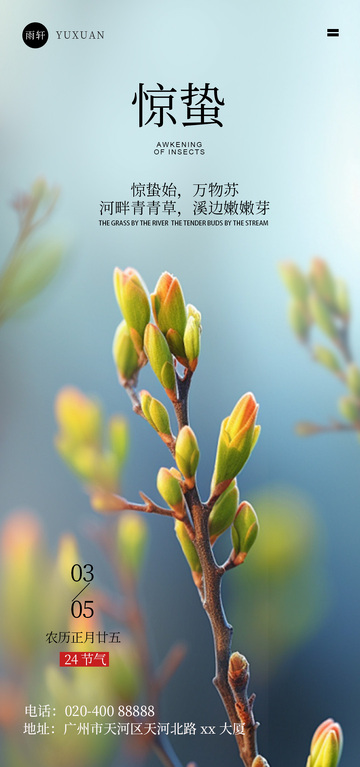 惊蛰春芽自然摄影