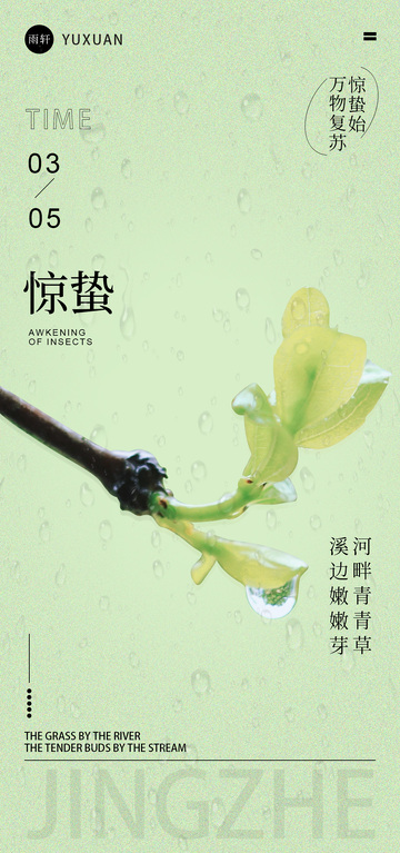 惊蛰节气绿植海报设计