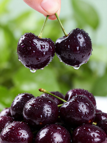 樱桃特写果肉红润果核清晰3