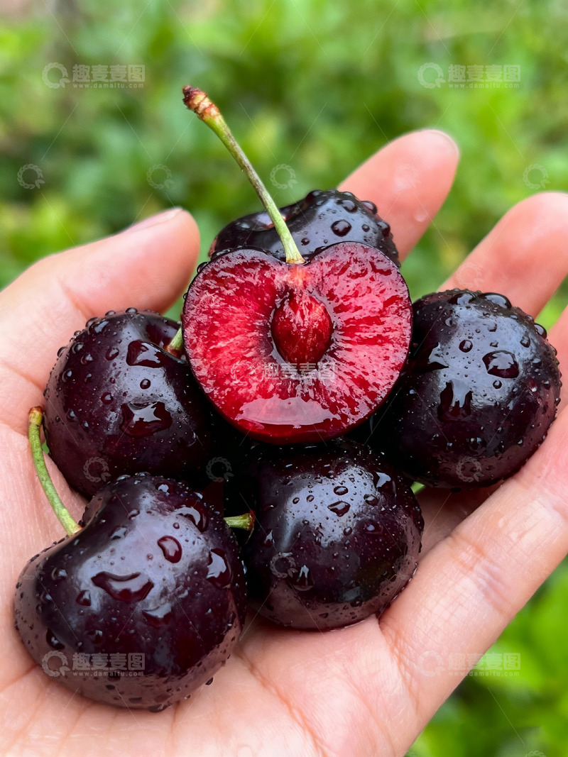 高清大图下载【趣麦麦图】手捧樱桃切片果核果肉一览无余