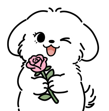 白色马尔济斯小狗双手抱粉色玫