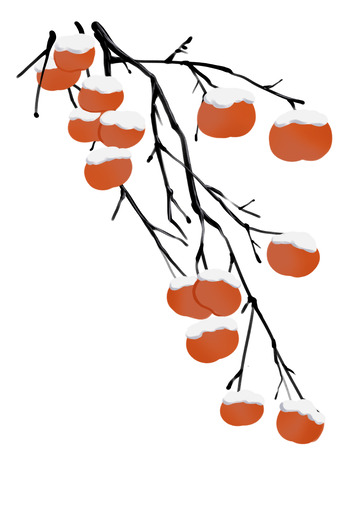 冬至冬天手绘柿子插画元素