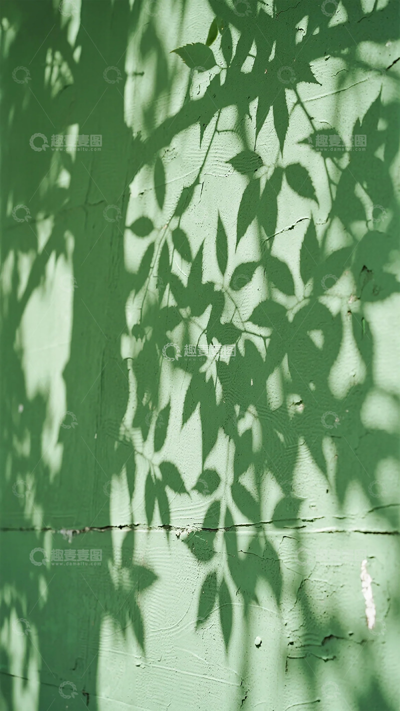 高清大图下载【趣麦麦图】绿色墙面树叶影