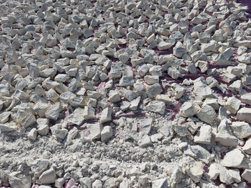 晾晒的红薯干粉