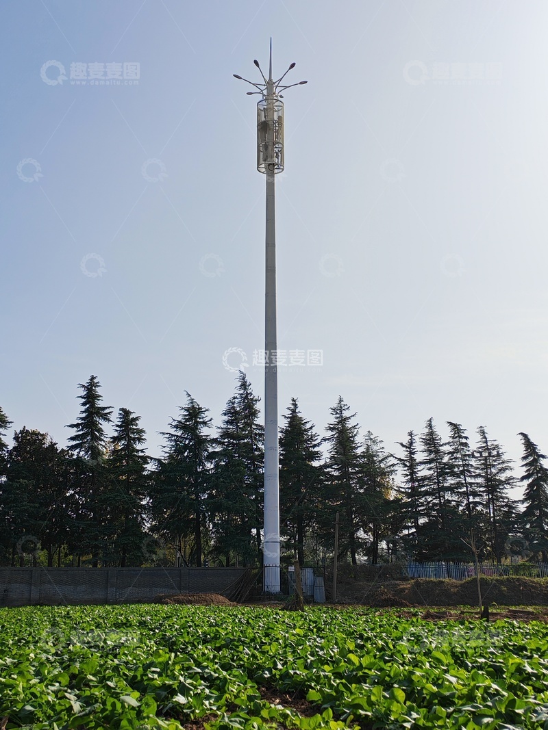 高清大图下载【趣麦麦图】菜地里的风景