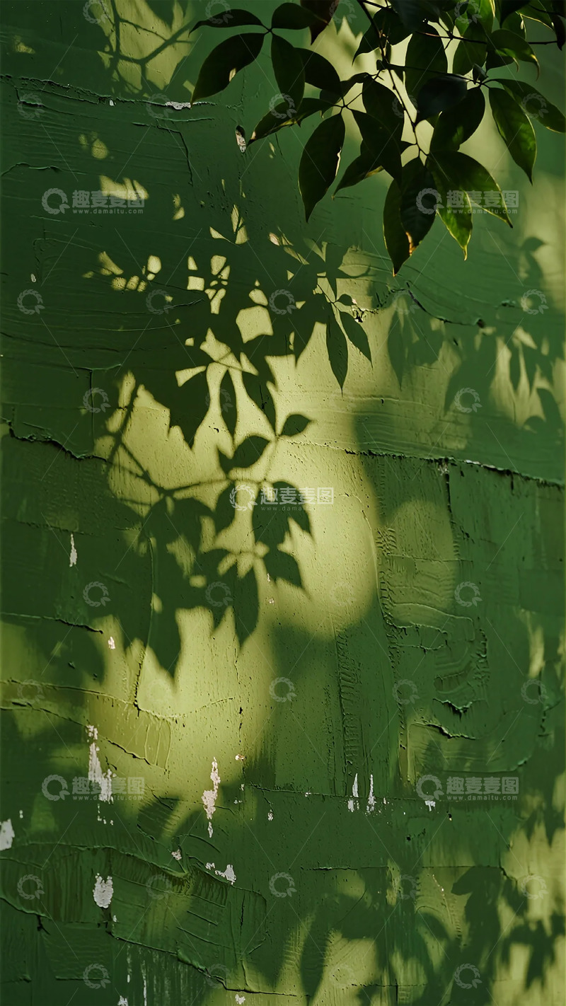 高清大图下载【趣麦麦图】光影斑驳绿墙自然摄影