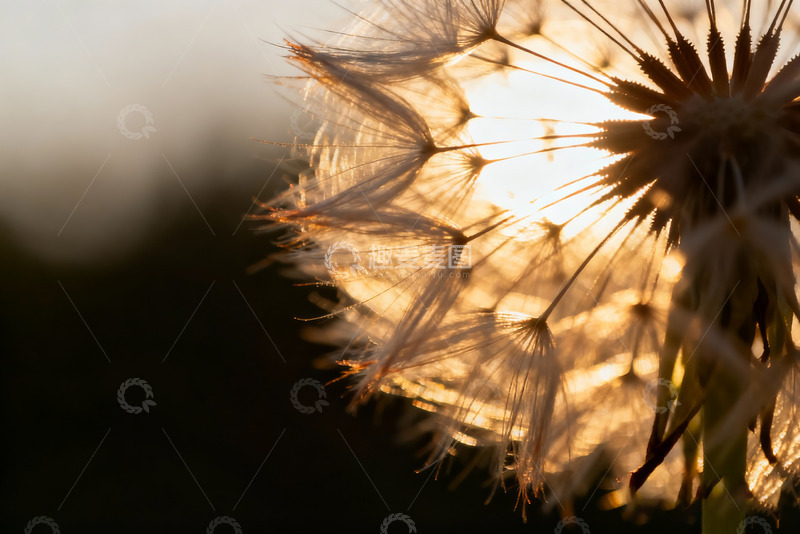 高清大图下载【趣麦麦图】秋天野外自然摄影3