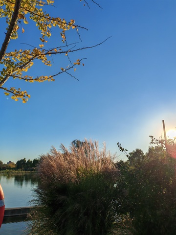 湖畔秋景自然风光摄影