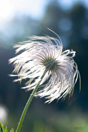 秋天野外自然摄影