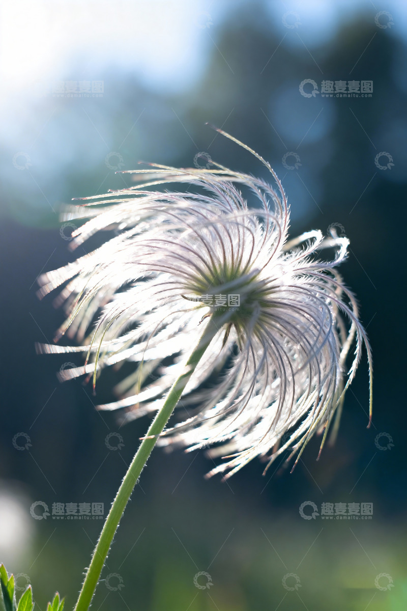 高清大图下载【趣麦麦图】秋天野外自然摄影