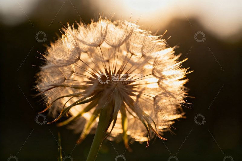 高清大图下载【趣麦麦图】秋天野外自然摄影6