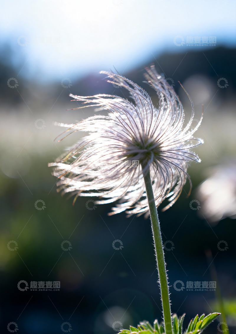 高清大图下载【趣麦麦图】秋天野外自然摄影5