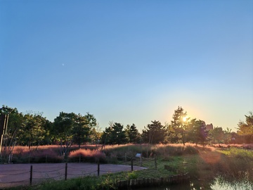 日落湿地风光摄影