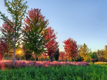 秋色公园风光摄影