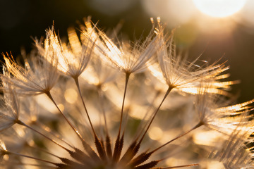 秋天野外自然摄影4