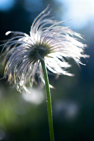 秋天野外自然摄影7