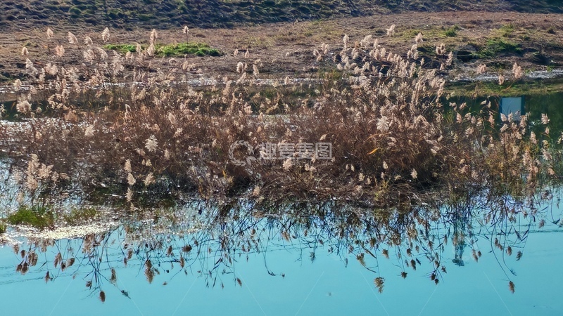 高清大图下载【趣麦麦图】-芦苇湿地秋景自然风光摄影