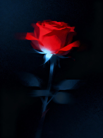 玫瑰花极简插画1