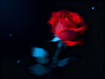 玫瑰花极简插画3