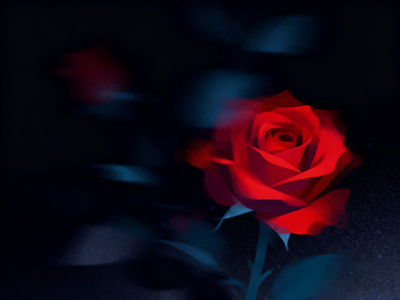 玫瑰花极简插画4