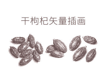 素描风格枸杞插图插画