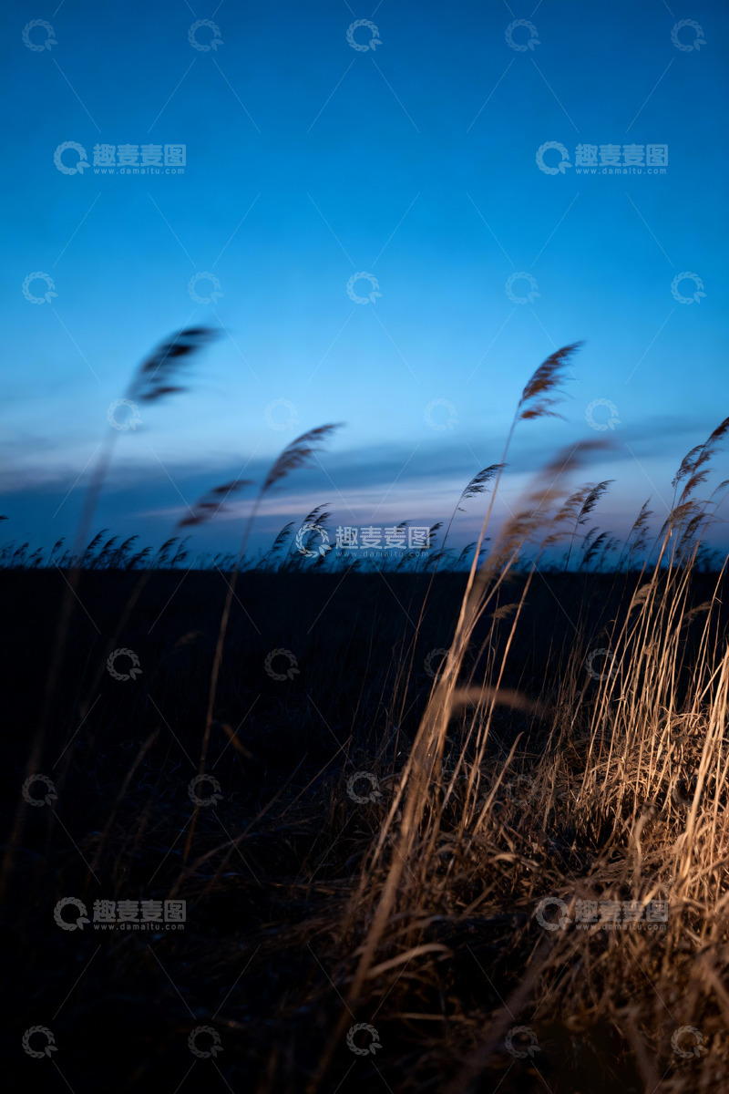 高清大图下载【趣麦麦图】广角镜头下的黄昏旷野5