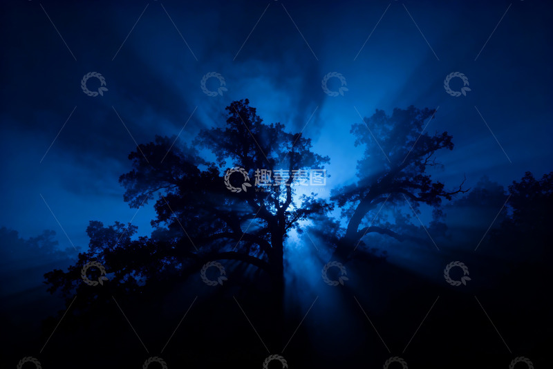 高清大图下载【趣麦麦图】-暗克莱因蓝暗调树影4