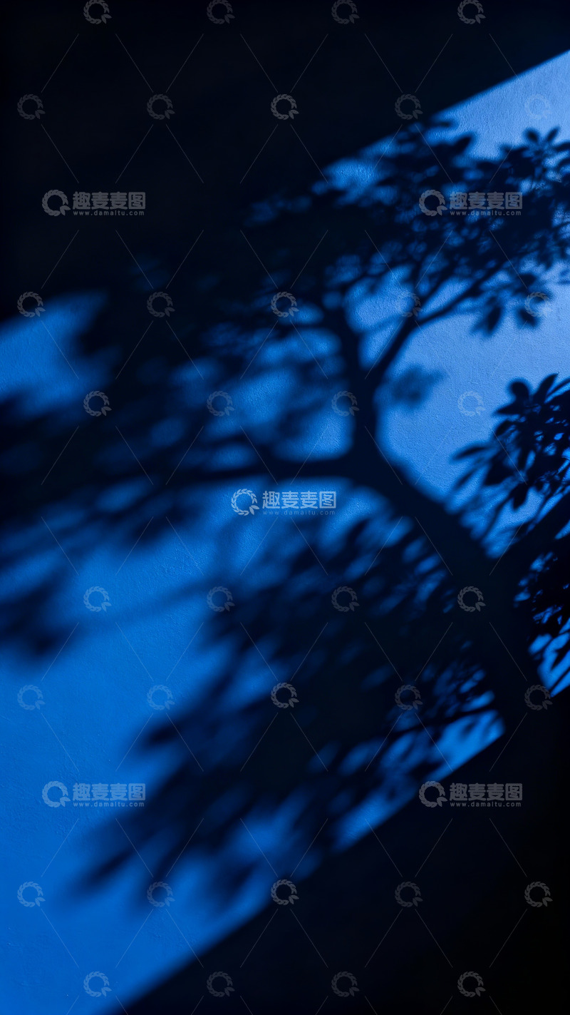 高清大图下载【趣麦麦图】-暗克莱因蓝暗调树影